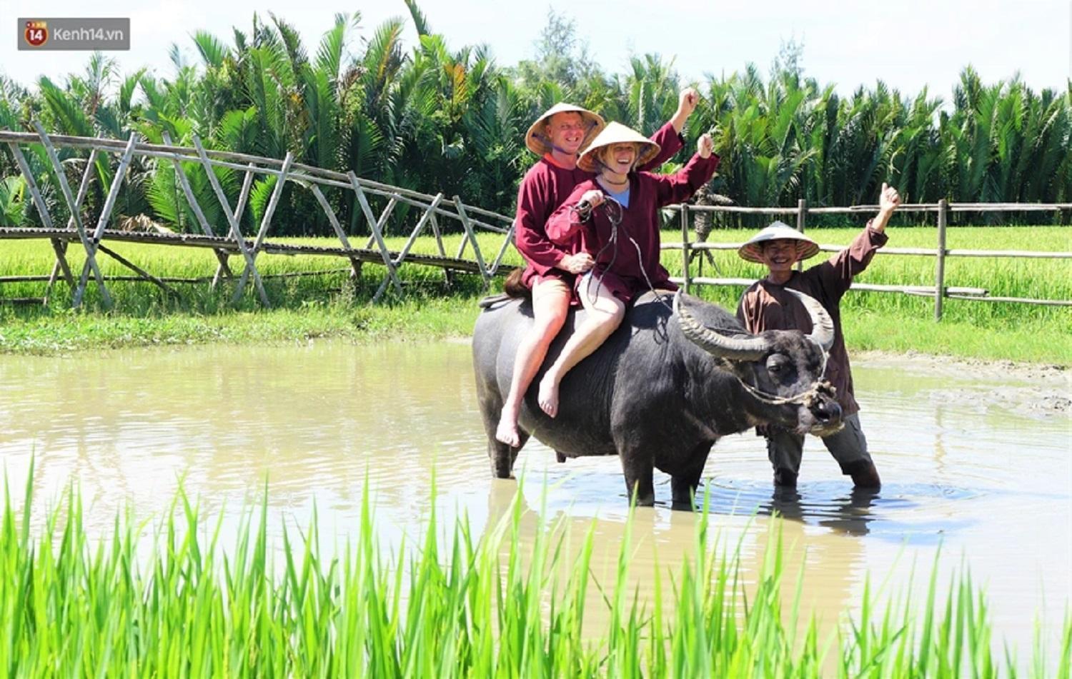 Tam Coc Sunshine Hostel Vu Lam Bagian luar foto